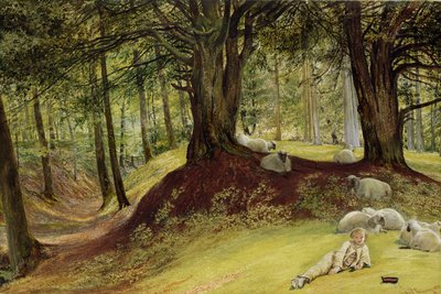 Parkhurst Woods, Abinger, Surrey by Richard Redgrave